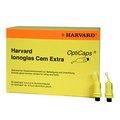 Harvard Ionoglas Cem Extra