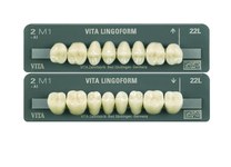 VITA LINGOFORM