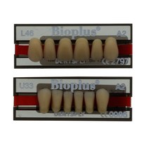 Bioplus Frontzähne Bioplus Frontzähne