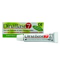 Dinabase 7